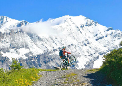 Tour du Mont Blanc