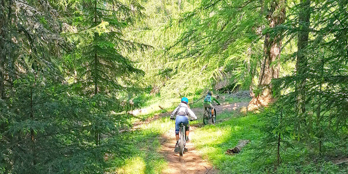 verbier-ride-foret